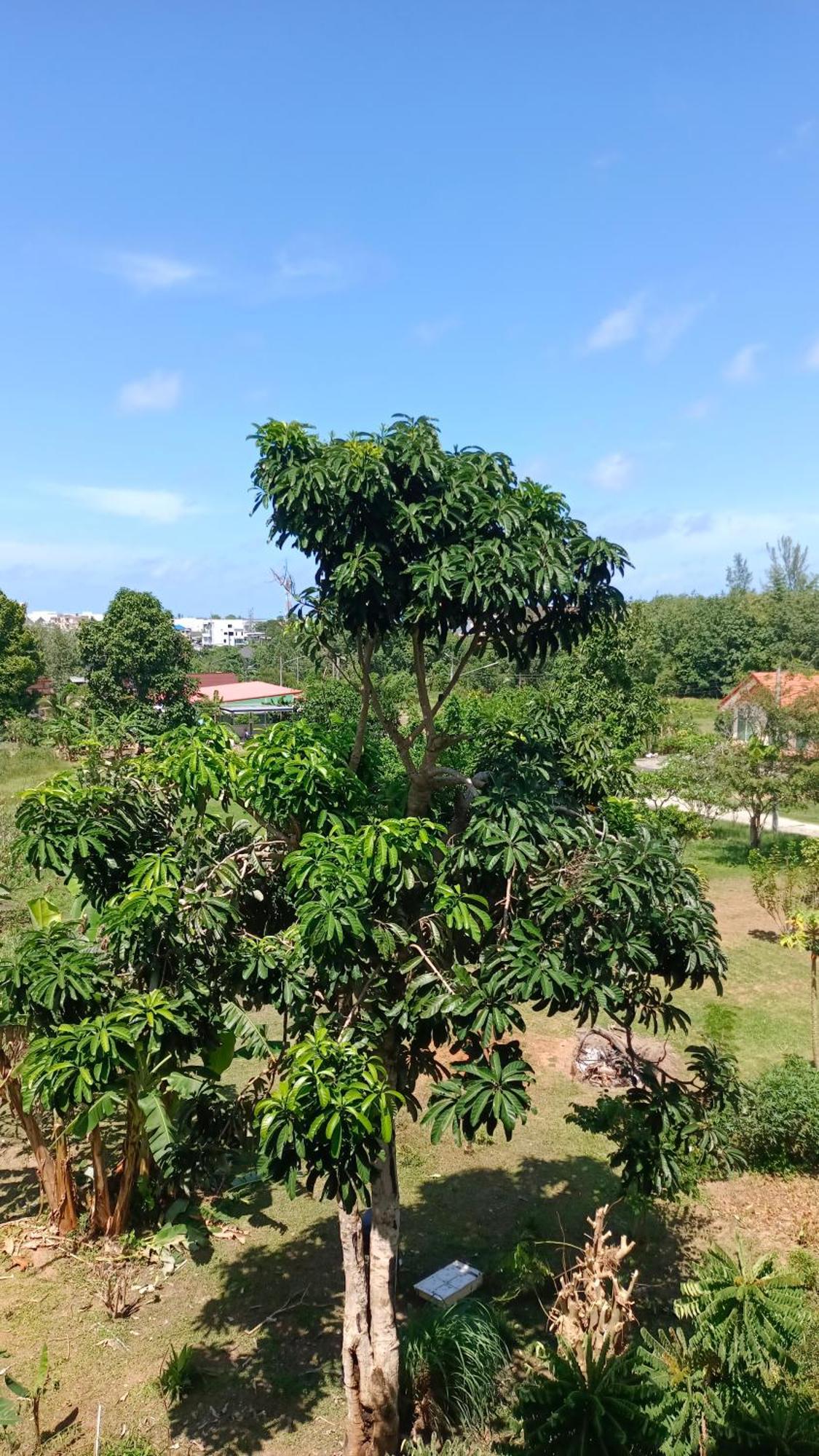 Batikseafood Airport & Room Ban Bo Sai Klang Rum bild